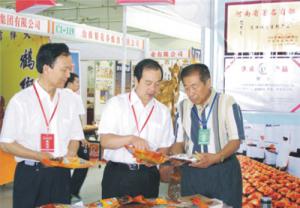 原安陽市市長(zhǎng)董永安、副市長(zhǎng)陳明今到公司調(diào)研