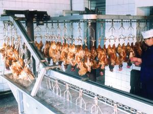 各地的道口燒雞價格一樣嗎？